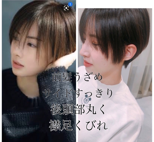 北川景子さんがショートヘアに どんなショート 芸能人ヘアのオーダーの仕方徹底解説 表参道のショート ボブ専門美容師 大野道寛のblog